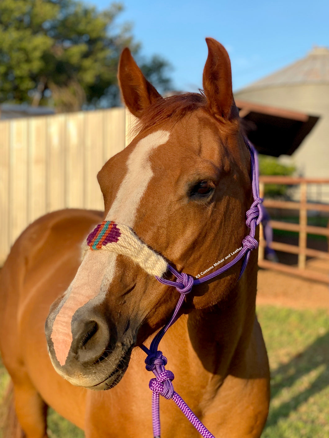 Custom Purple Halter